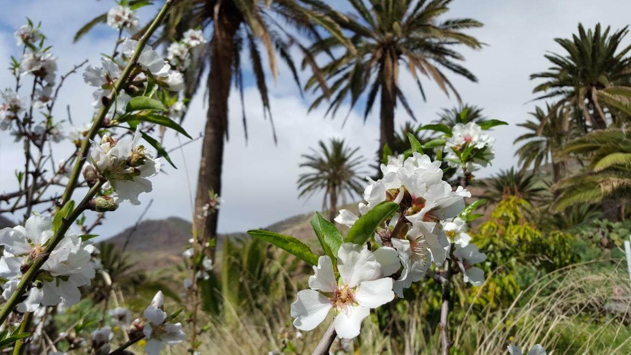 El Pirguan Holiday House, Your Oasis In La Gomera Vallehermoso Zewnętrze zdjęcie