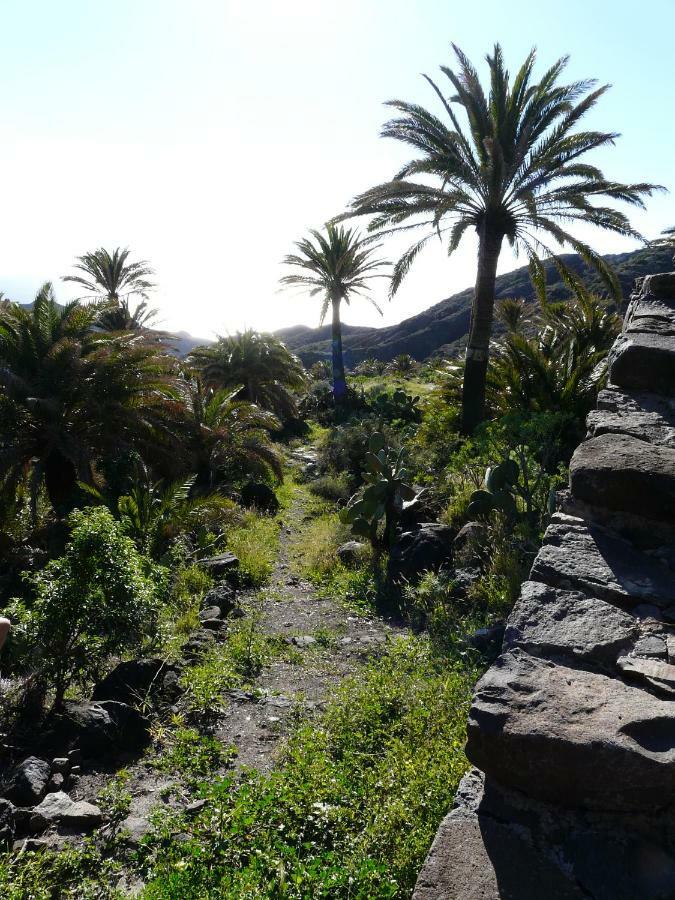 El Pirguan Holiday House, Your Oasis In La Gomera Vallehermoso Zewnętrze zdjęcie
