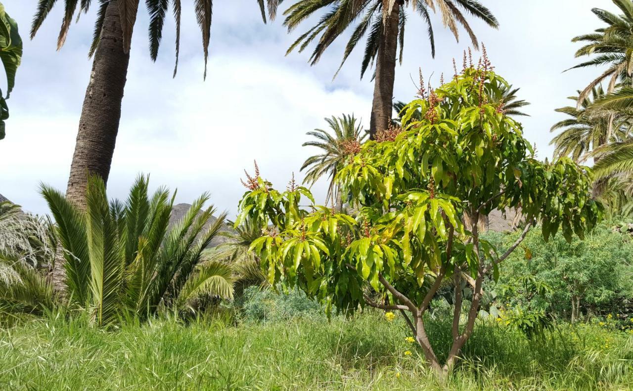 El Pirguan Holiday House, Your Oasis In La Gomera Vallehermoso Zewnętrze zdjęcie
