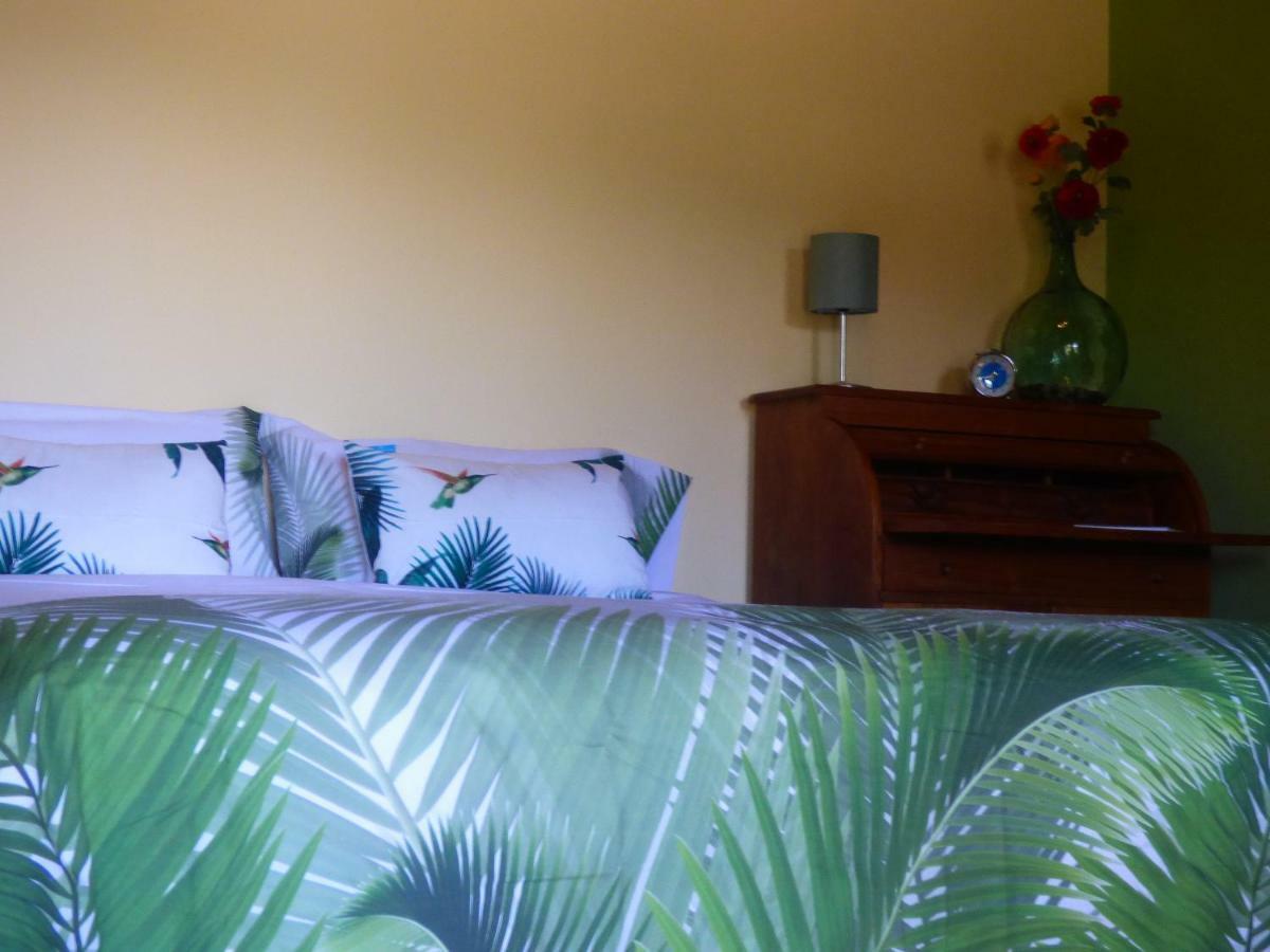 El Pirguan Holiday House, Your Oasis In La Gomera Vallehermoso Zewnętrze zdjęcie